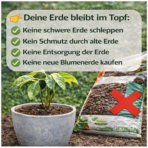 Schacht obnovovač substrátu Erden Refresher 350 ml