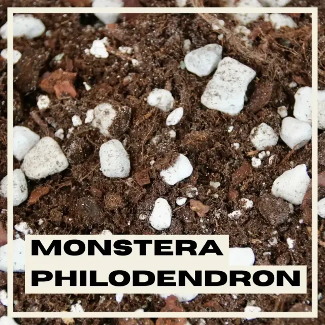 Rastlinkovo substrát Monstera Philodendron minerálny