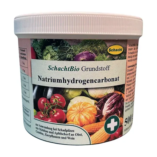 SchachtBio Grundstoff Natriumhydrogencarbonat prášok 500 g