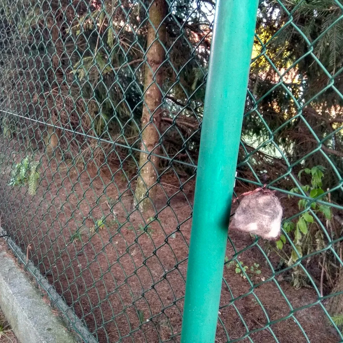 Kunagone odpudzovač na diviaky 10 ks pachový