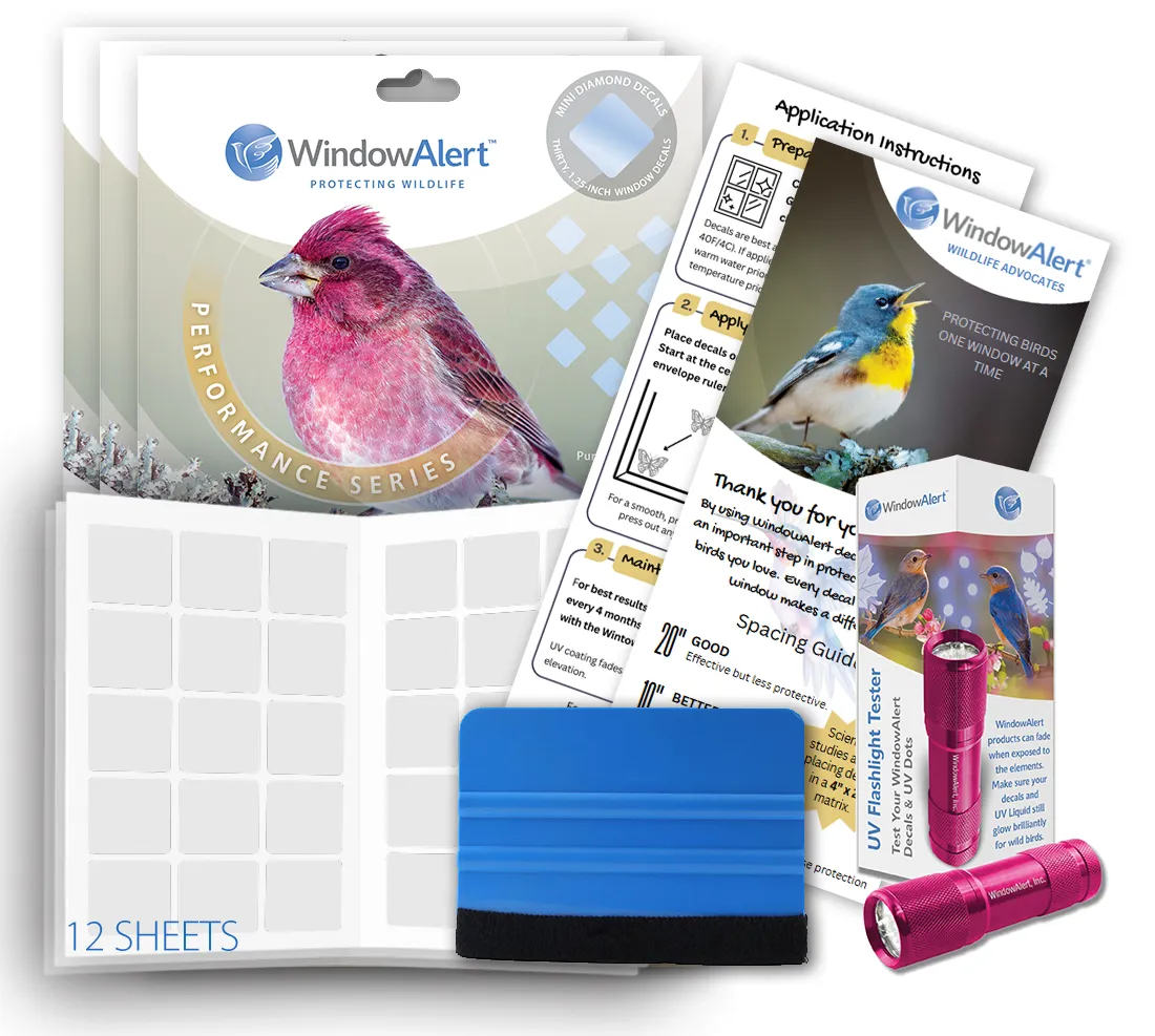 Window Alert Performance samolepky na okná Starter Pack