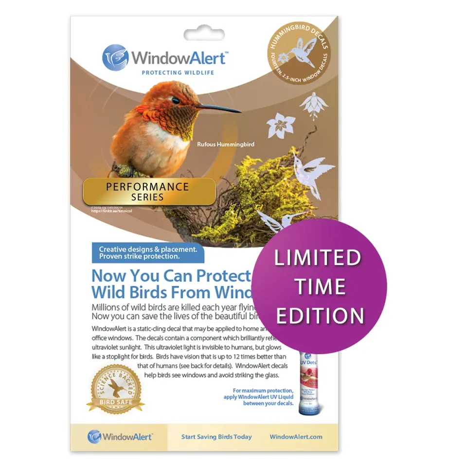 Window Alert Performance samolepky na okná Hummingbird
