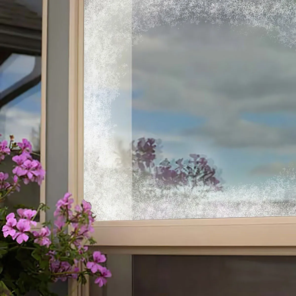 Window Alert Stop Bird Attack sprej na okná 255 g