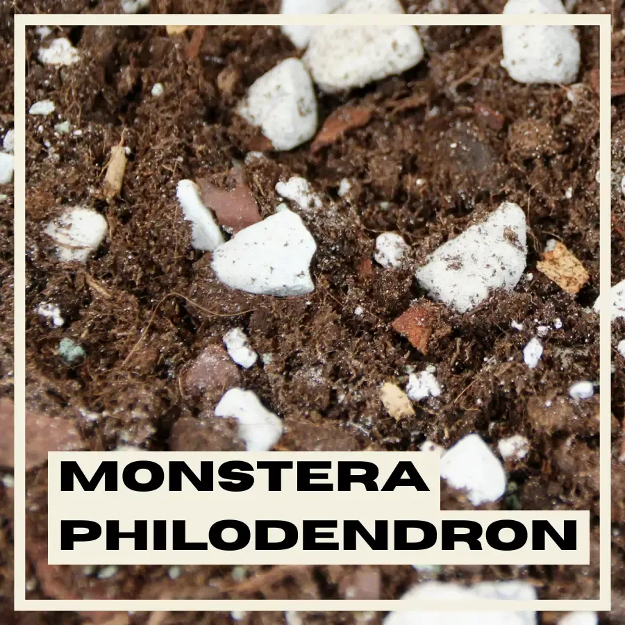 Rastlinkovo substrát Monstera Philodendron minerálny