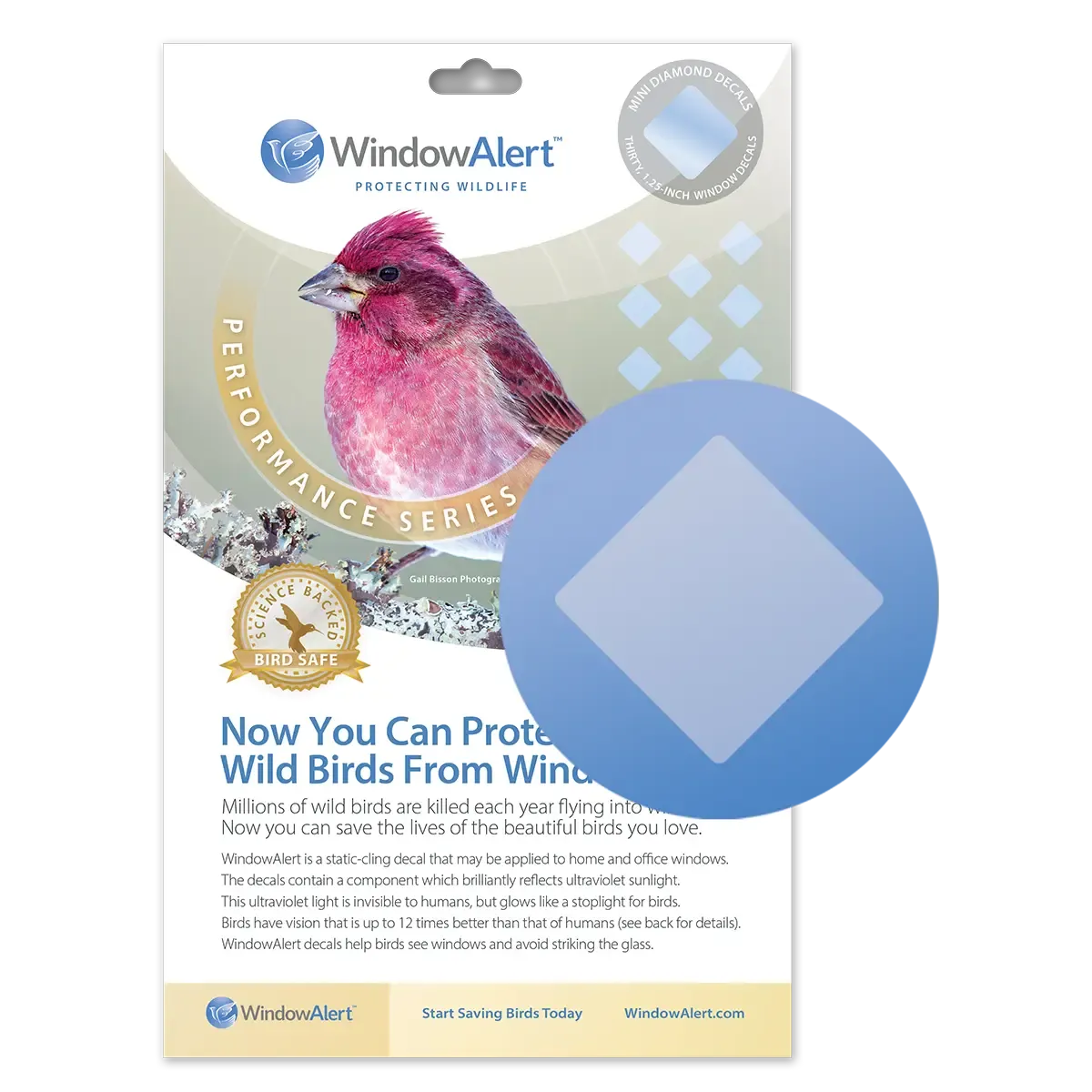 Window Alert Performance samolepky na okná Hummingbird
