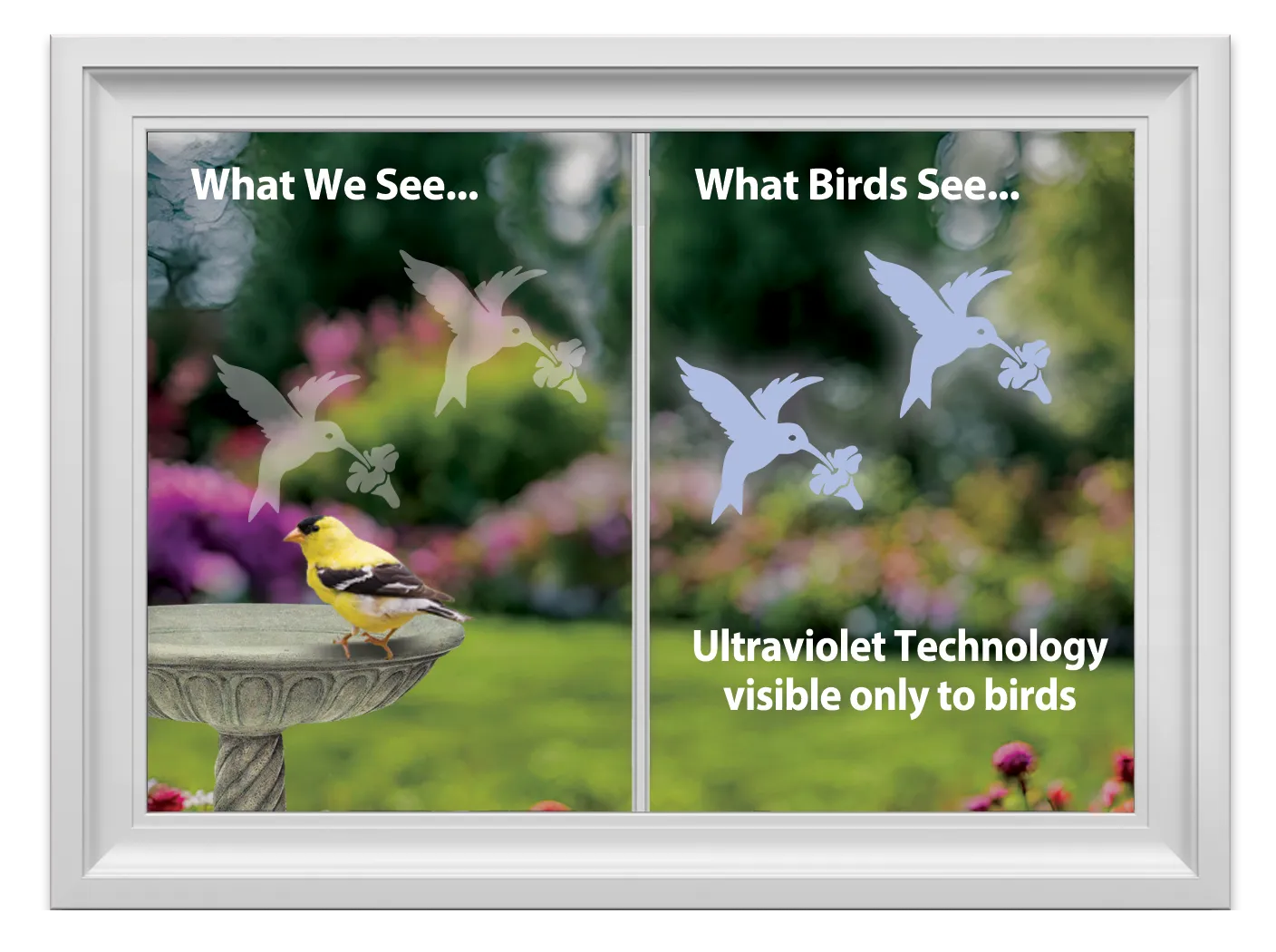 Window Alert Performance samolepky na okná Hummingbird